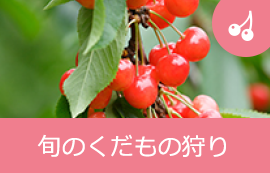 旬のくだもの狩り