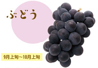 ぶどう