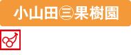 en-name-01oyamada