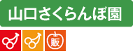 山口さくらんぼ園