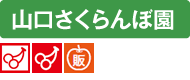 en-name-04yamaguchi