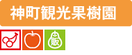 en-name-05jinmachi