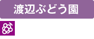 en-name-14watanabe