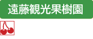 遠藤観光果樹園