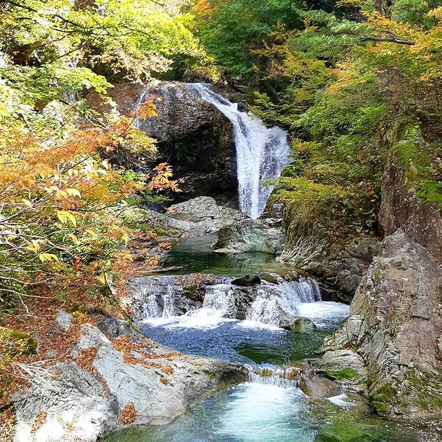 入選　関山の大滝