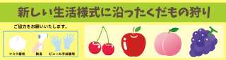 新しい生活様式に沿ったくだもの狩り